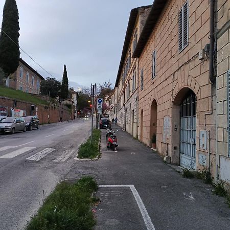 Ferienwohnung Monolocale Piccolominiuno Siena Exterior foto